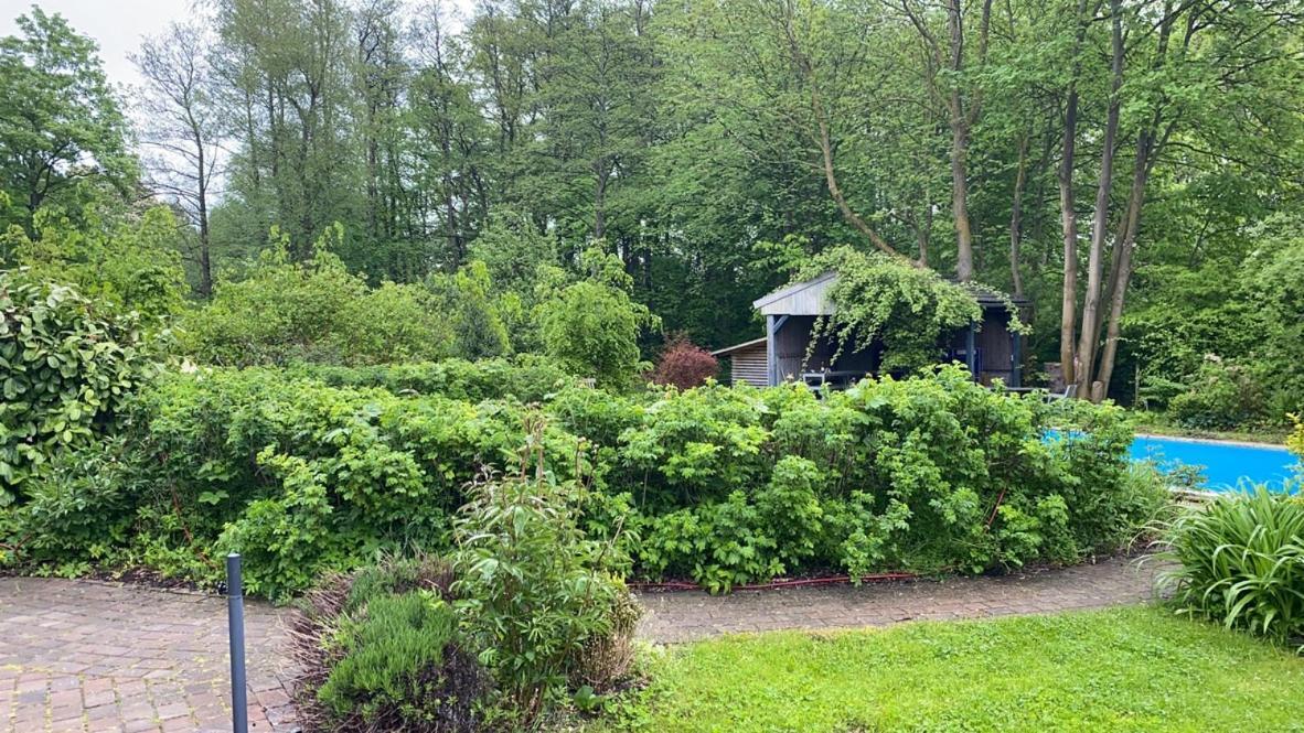 Вілла Haus West Mechelsdorf Екстер'єр фото